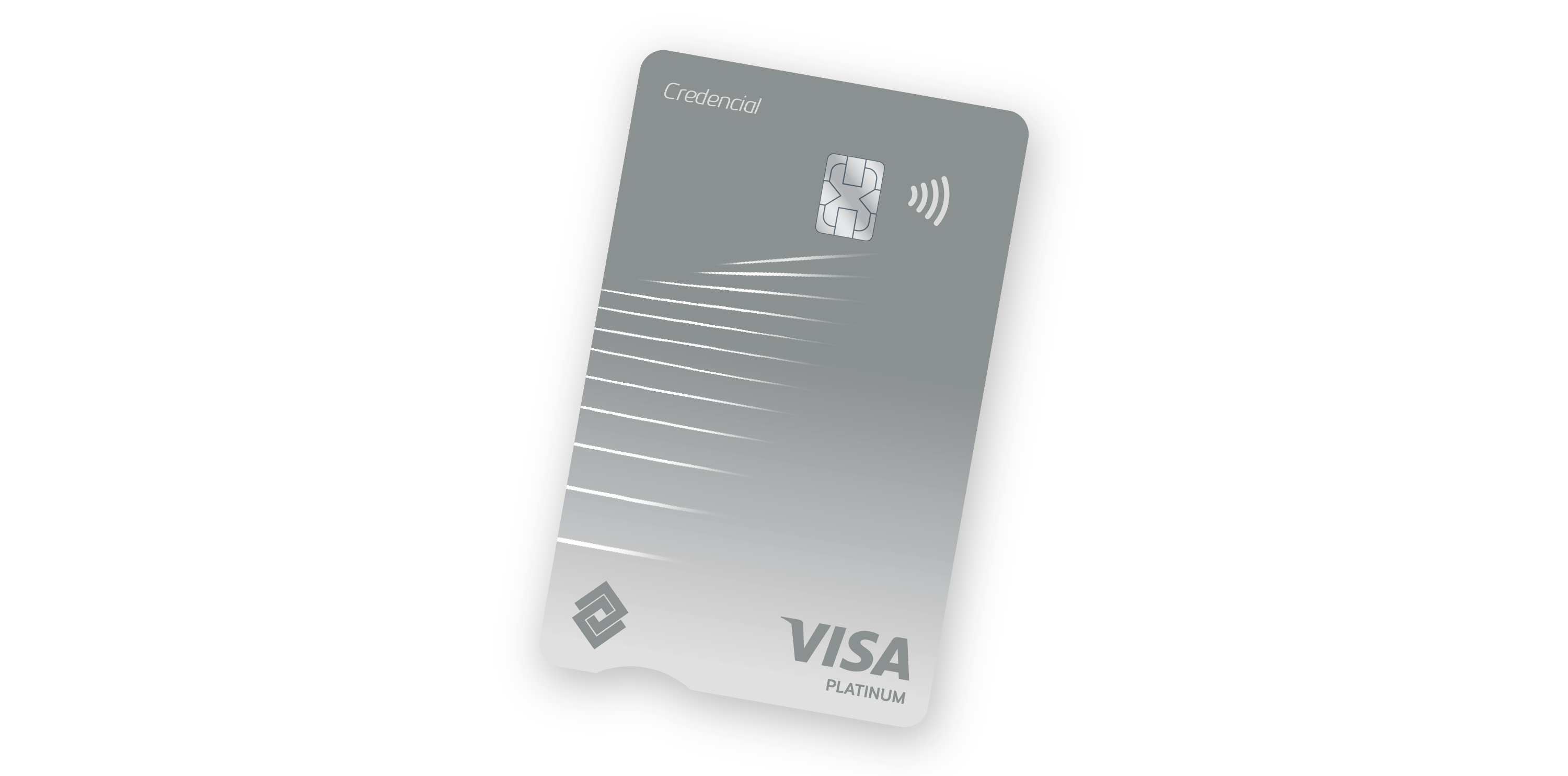 Visa Platinum