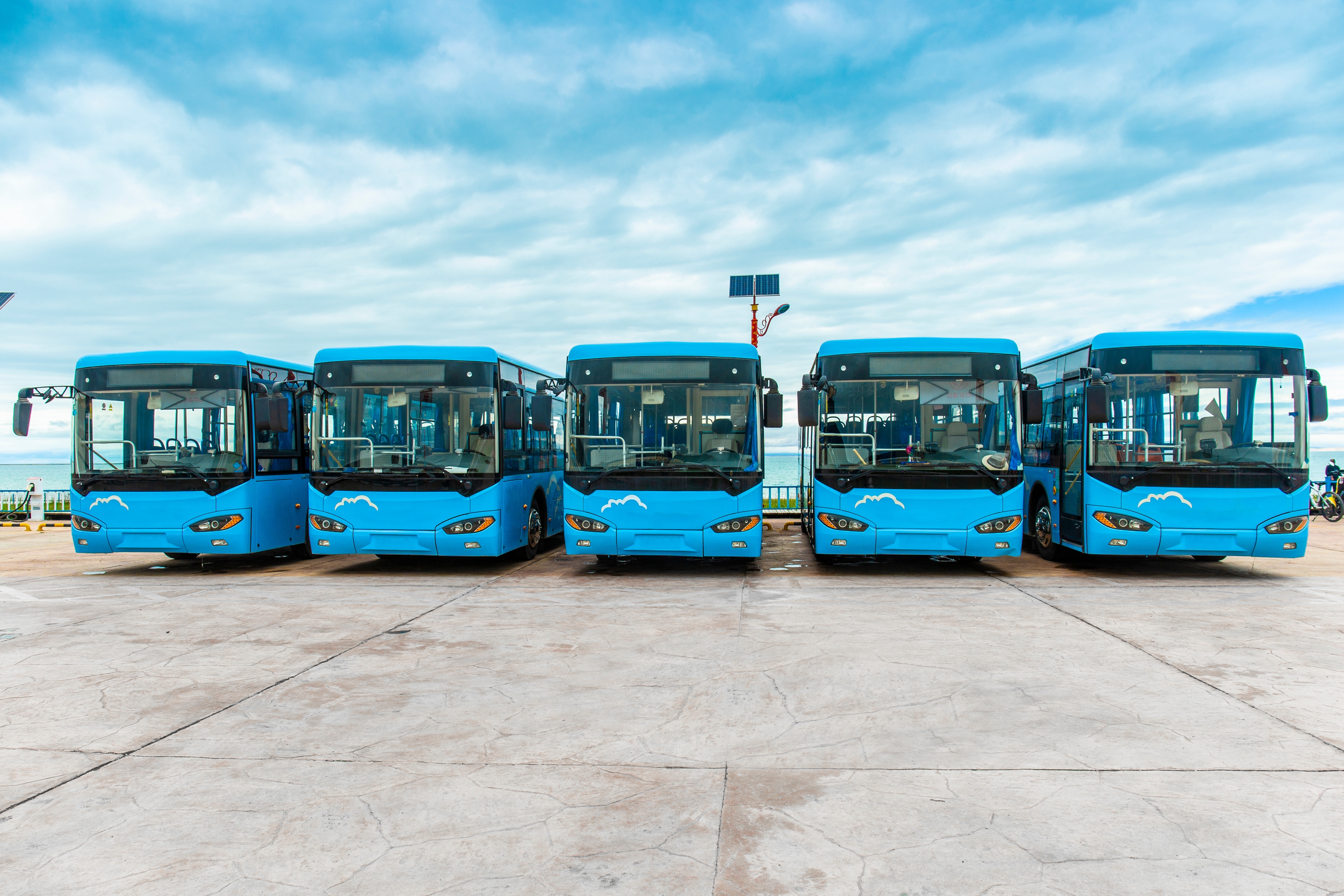 Buses