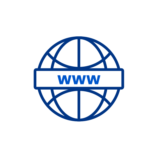 Icono dominio web